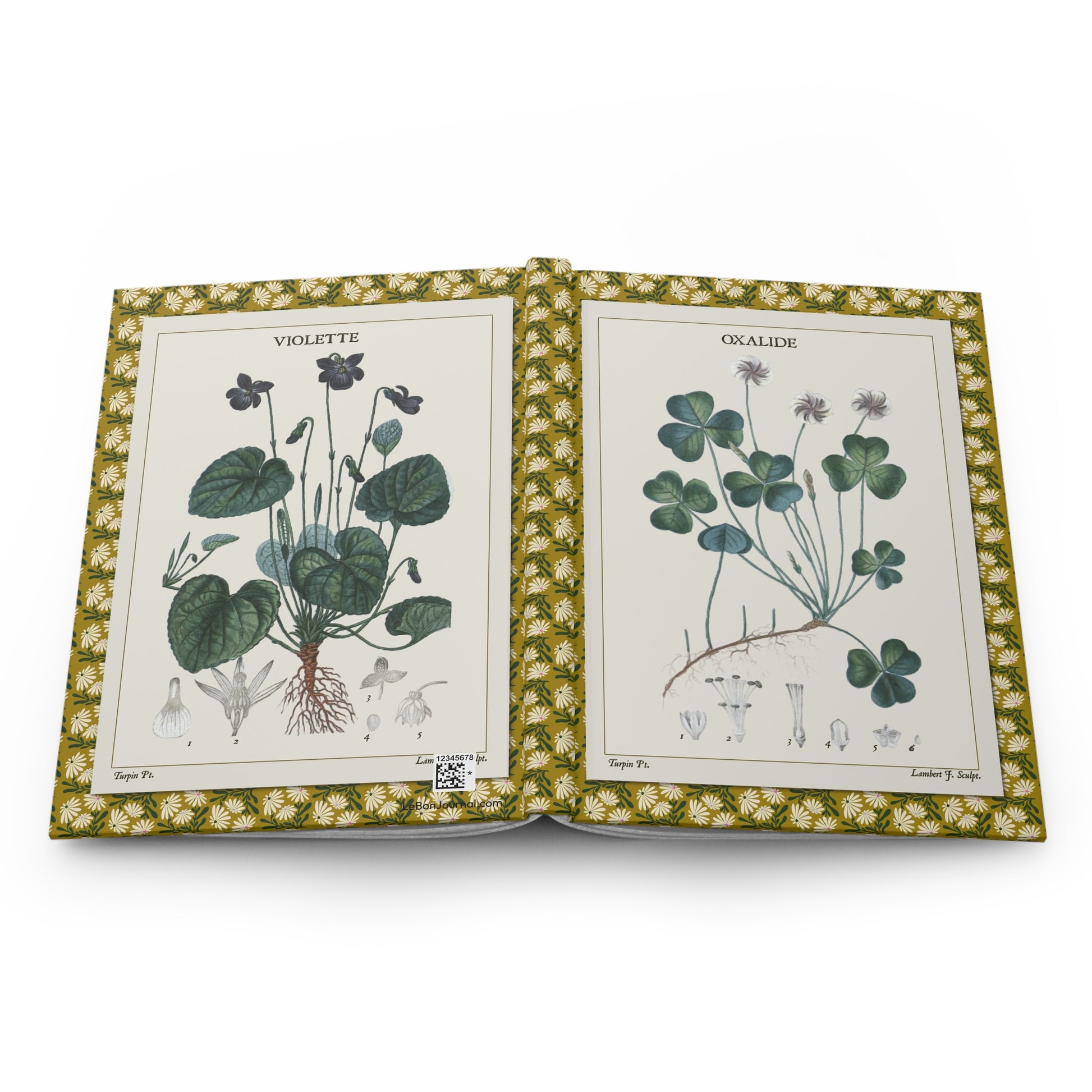 Flore médicale botanical journal open showing casewrap binding and 1814 plant illustrations - LeBonJournal