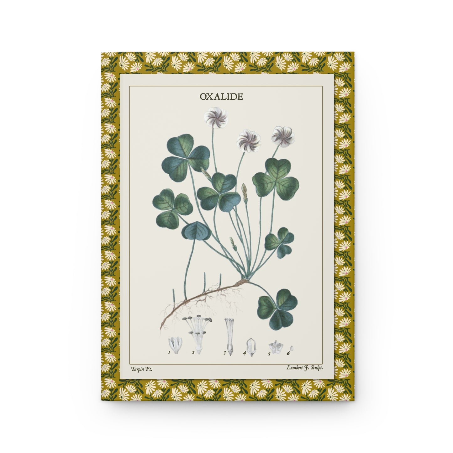 Flore médicale journal front cover with Oxalide clover plate 261 from 1814 - LeBonJournal