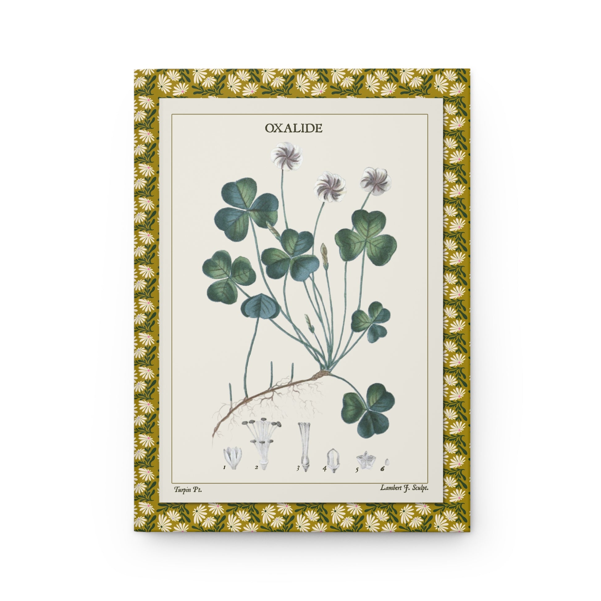 Flore médicale journal front cover with Oxalide clover plate 261 from 1814 - LeBonJournal