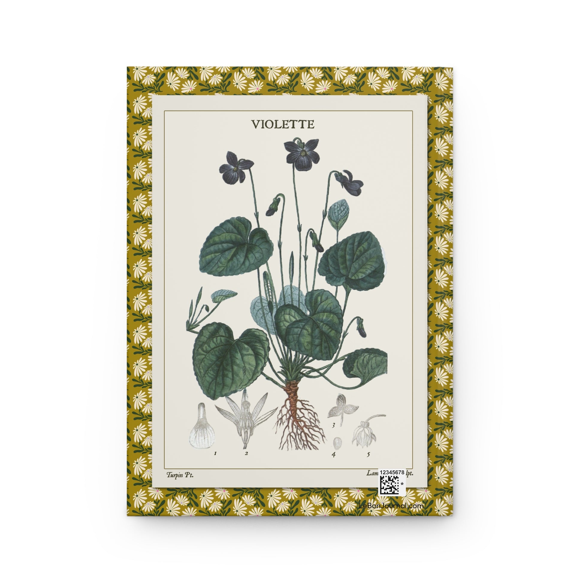 Flore médicale journal back cover with Violette violet plate 348 from 1814 - LeBonJournal.