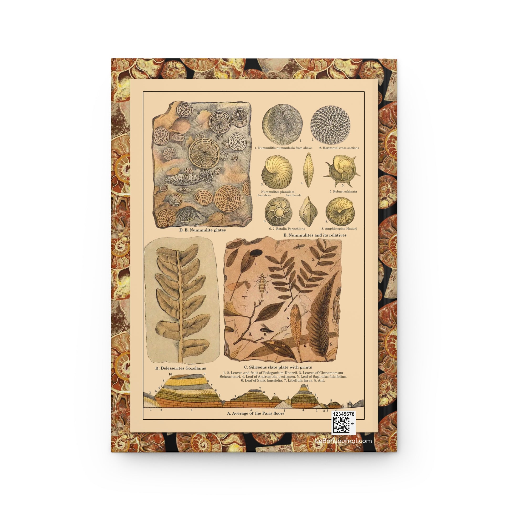 Friedrich Rolle journal back cover with 1886 Schubert Natural History fossil illustration - LeBonJournal
