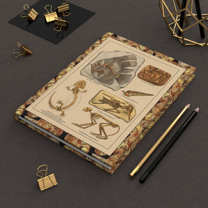 Friedrich Rolle 1886 fossil specimens journal on desk with gold clips for paleontology notes - LeBonJournal
