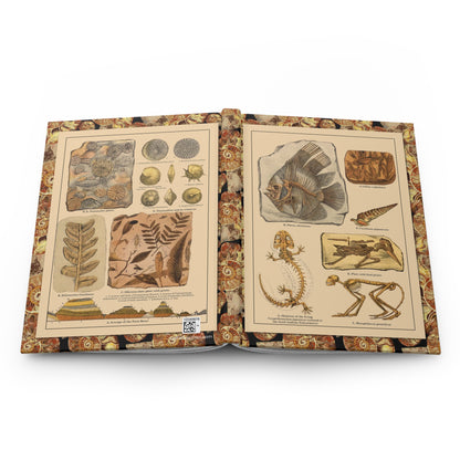 Friedrich Rolle fossil specimens journal open showing casewrap binding with 1886 chromolithograph - LeBonJournal