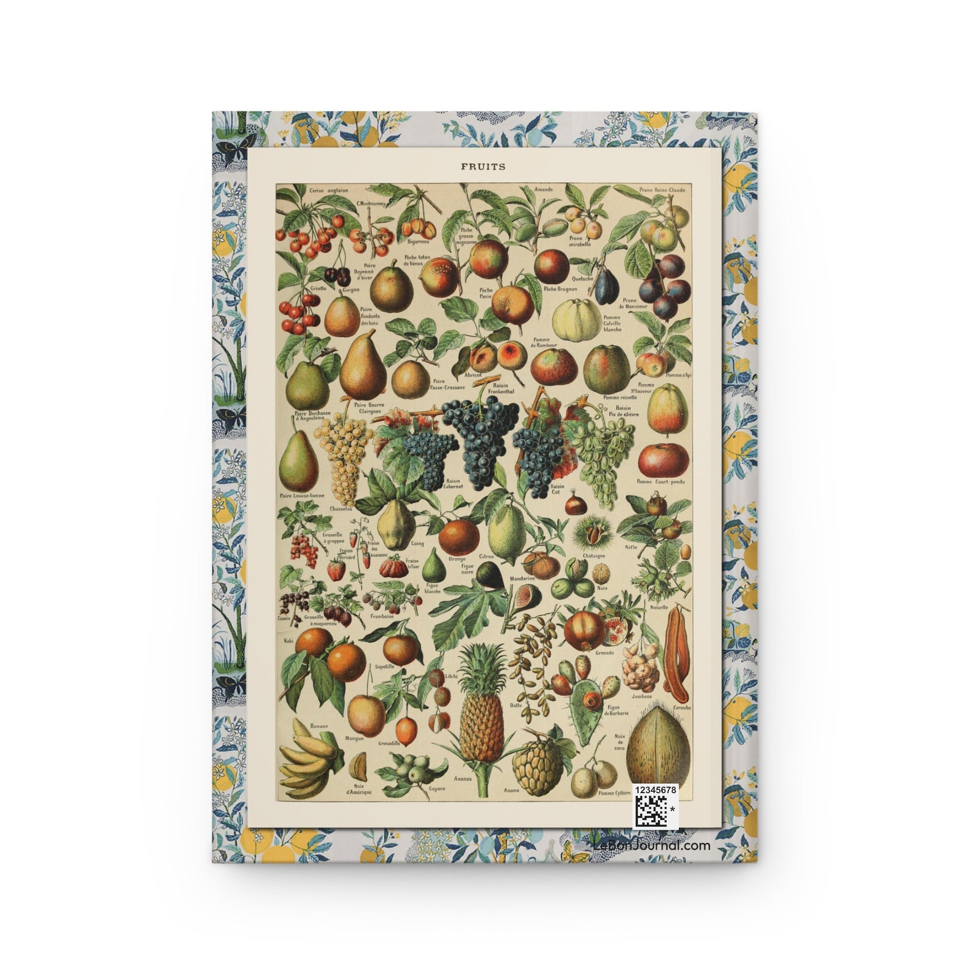 Fruits by Adolphe Millot Hardcover Journal — Larousse Encyclopedia Botanical Notebook - LeBonJournal