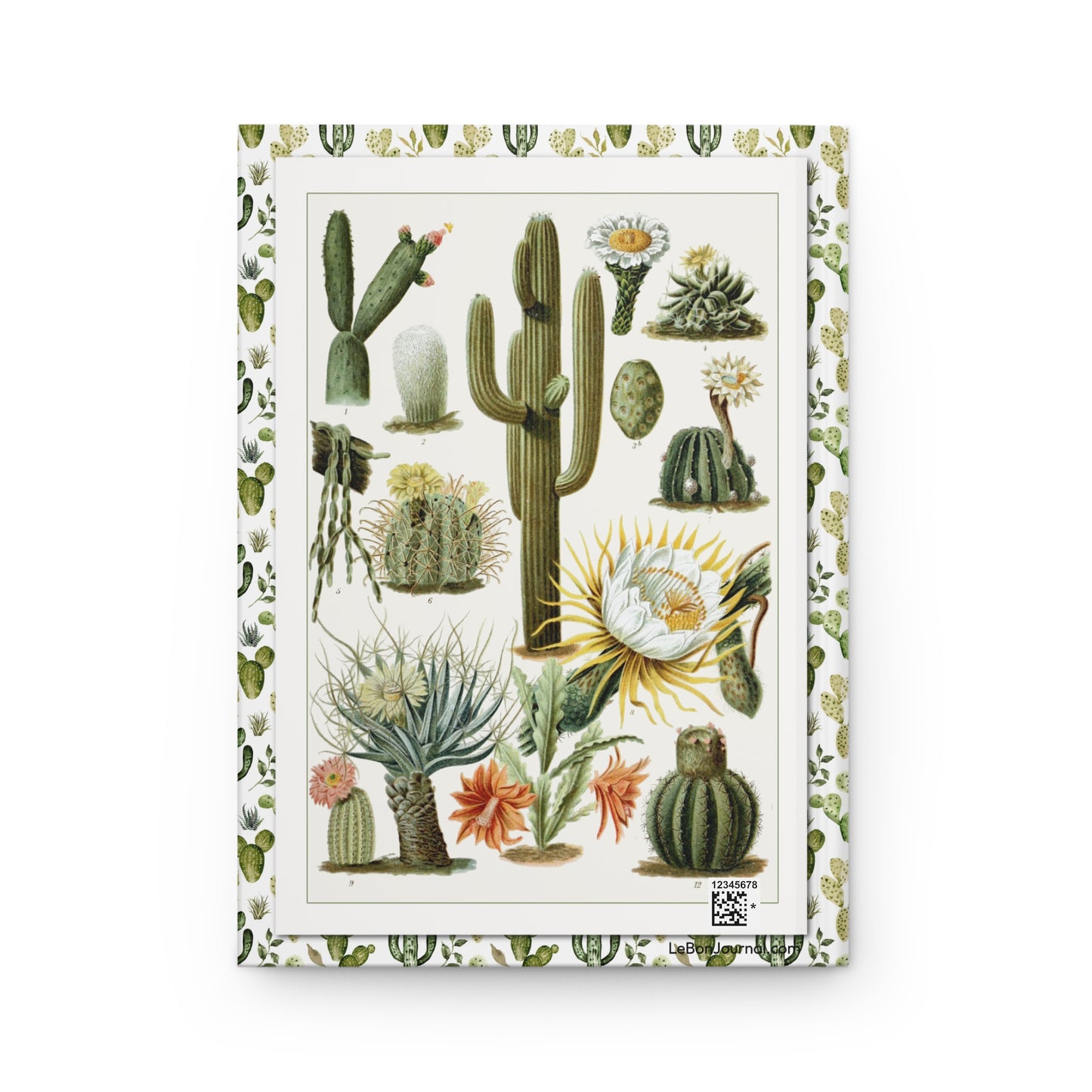 Back cover of hardcover journal featuring G. Mütrel 1892 Cactaceae botanical plate with Nopalea Cephalocereus Cereus from Brockhaus Konversations-Lexikon - LeBonJournal