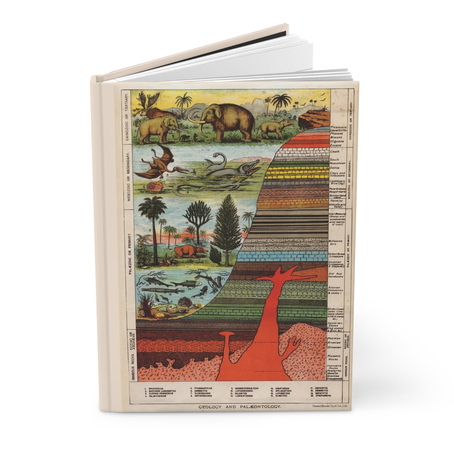 Geology Palaeontology Chart hardcover journal featuring Vincent Brooks Day & Son 1880 Victorian geological eras Palaeozoic Mesozoic Cainozoic evolution of life diagram - LeBonJournal