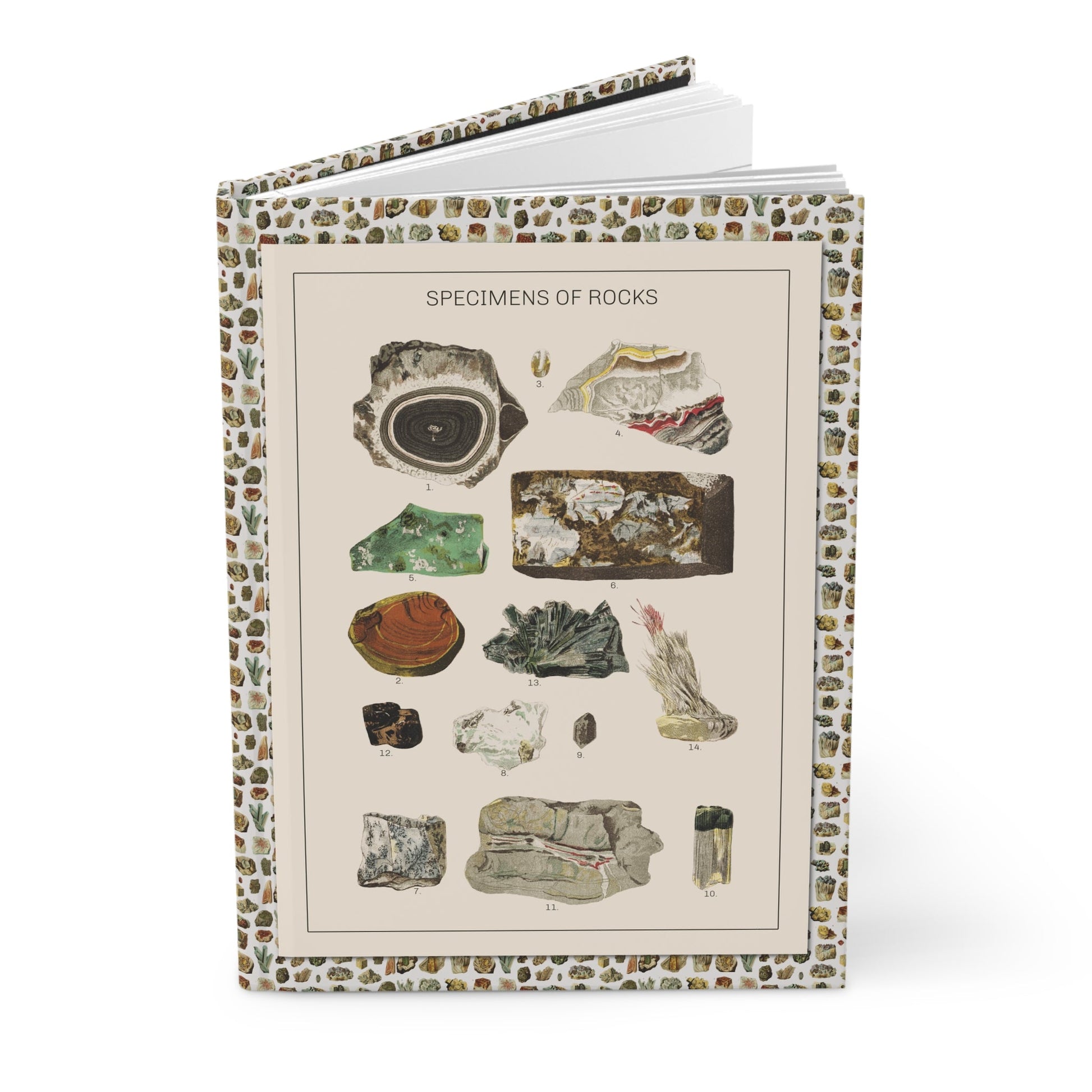 Gustav von Hayek 1887 mineral specimens journal with opal jasper onyx quartz fluorite apatite plates - LeBonJournal