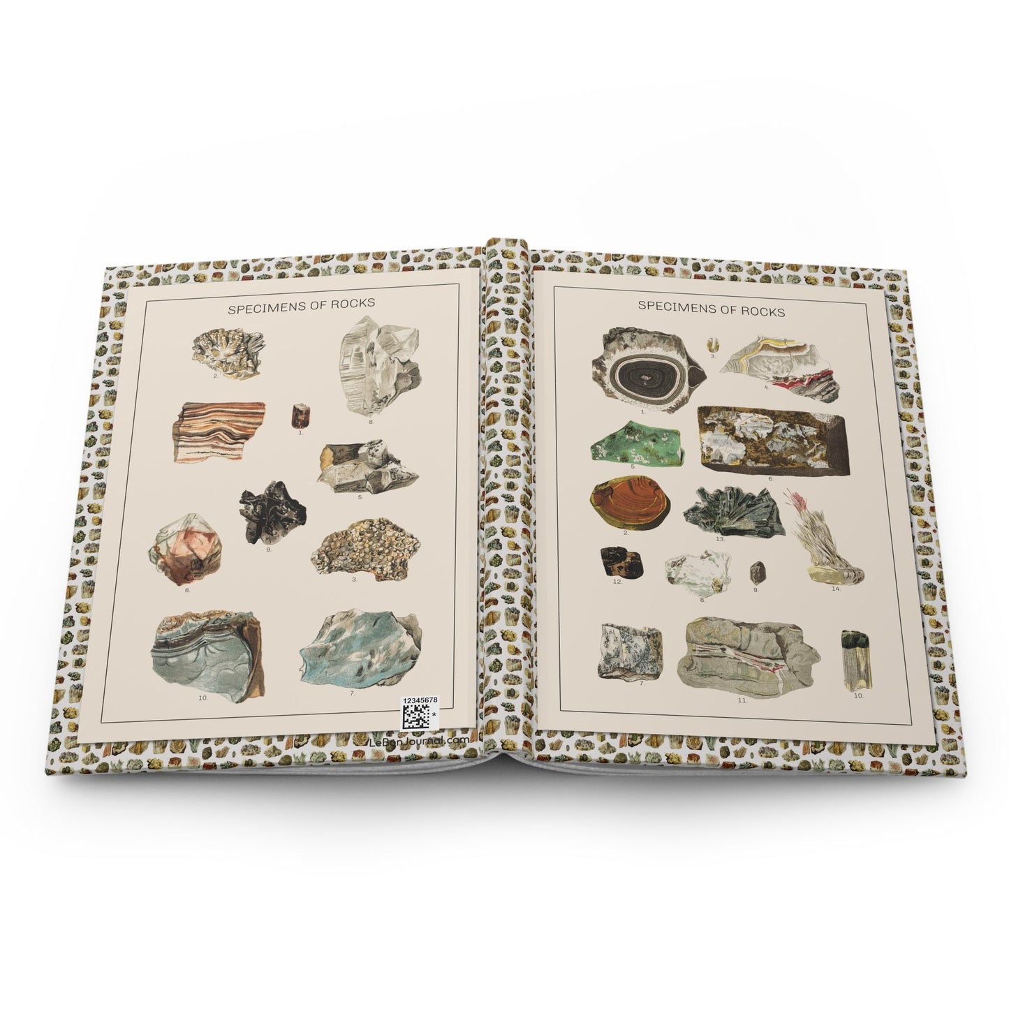 Gustav von Hayek mineral specimens journal open showing casewrap binding with 1887 geology plates - LeBonJournal