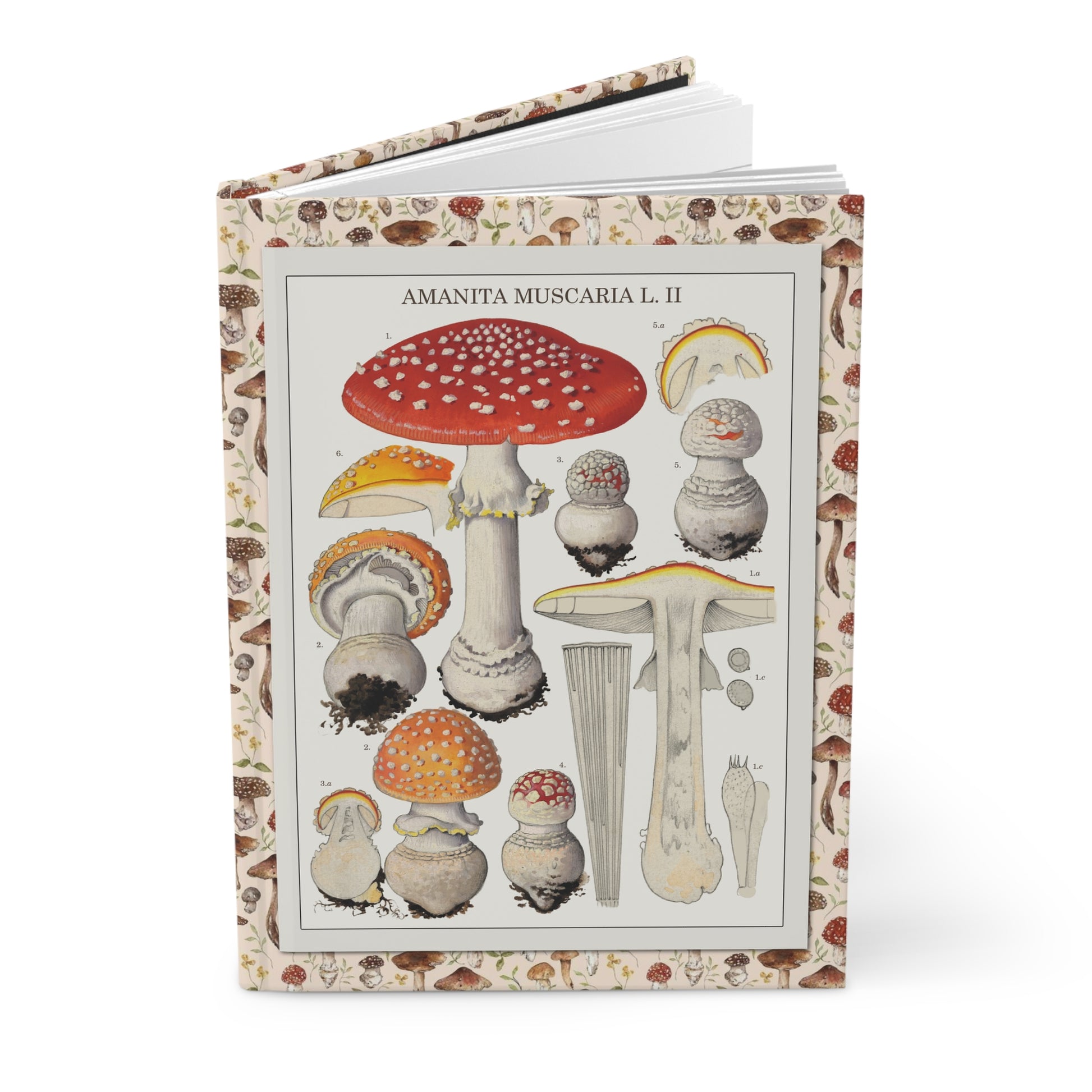 Hans Walty Amanita muscaria journal with Swiss botanical mushroom illustrations - LeBonJournal