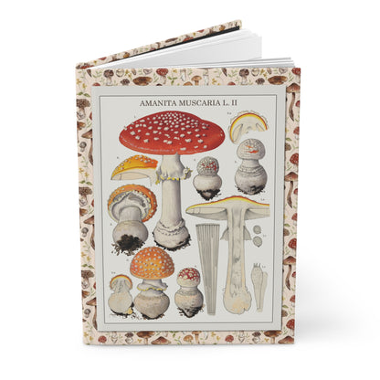 Hans Walty Amanita muscaria journal with Swiss botanical mushroom illustrations - LeBonJournal