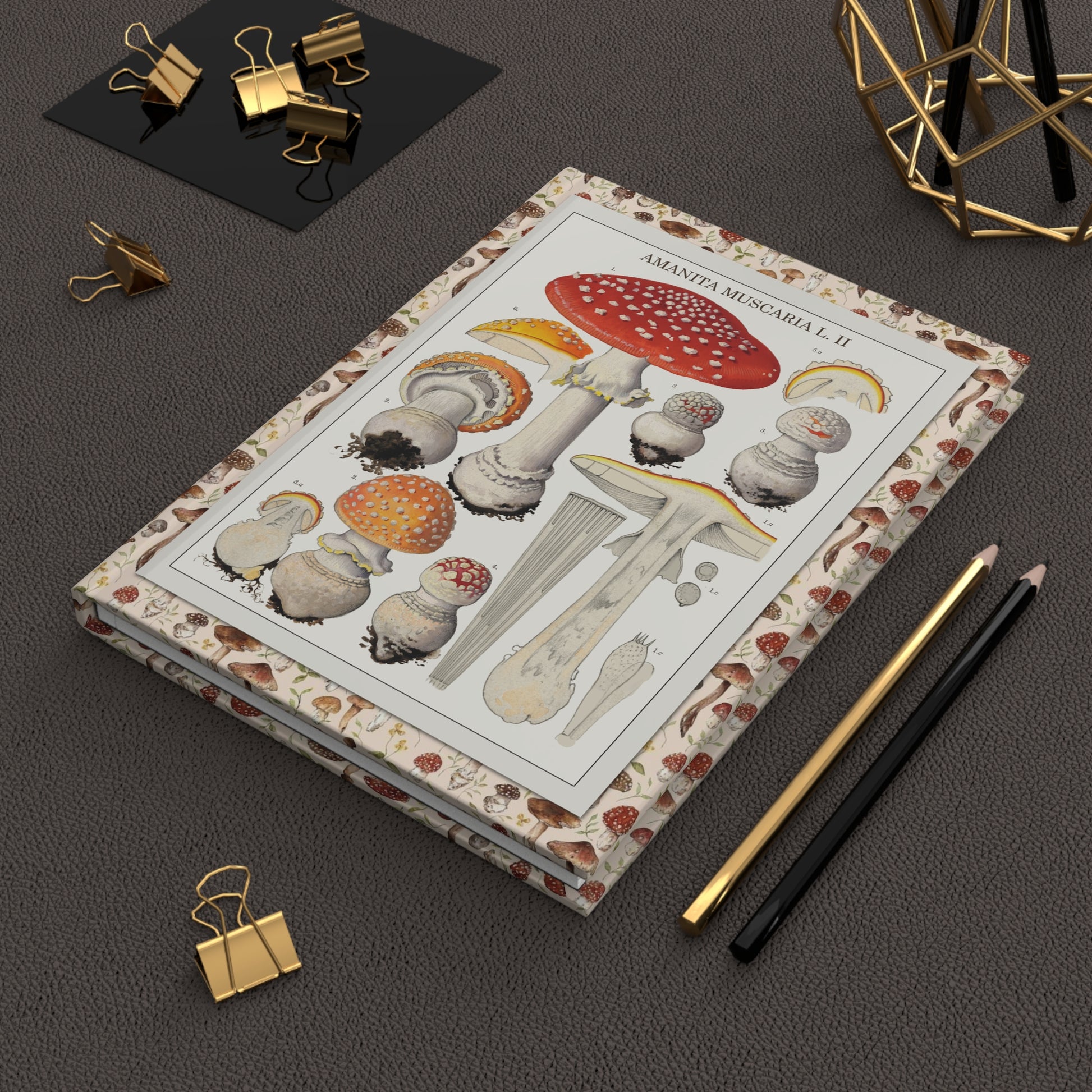 Hans Walty mushroom journal on desk with gold clips for mycology notes - LeBonJournal
