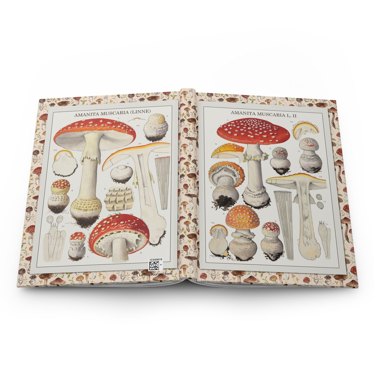 Hans Walty Amanita muscaria journal open showing casewrap binding and botanical illustrations - LeBonJournal