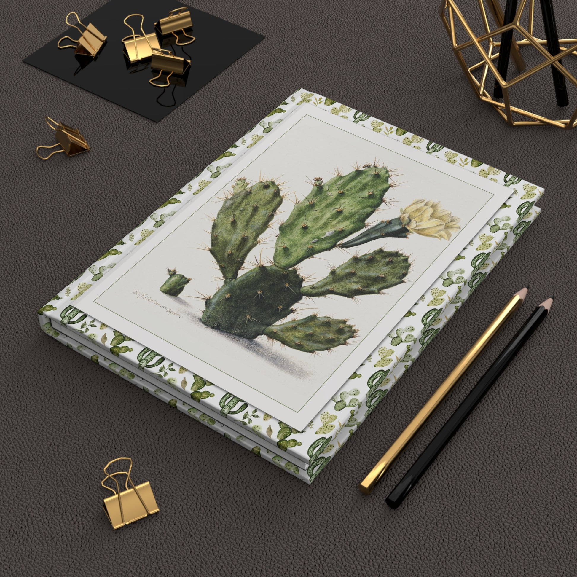 Lifestyle photo of Herman Saftleven cactus botanical journal styled for botanists desert enthusiasts and succulent plant collectors - LeBonJournal