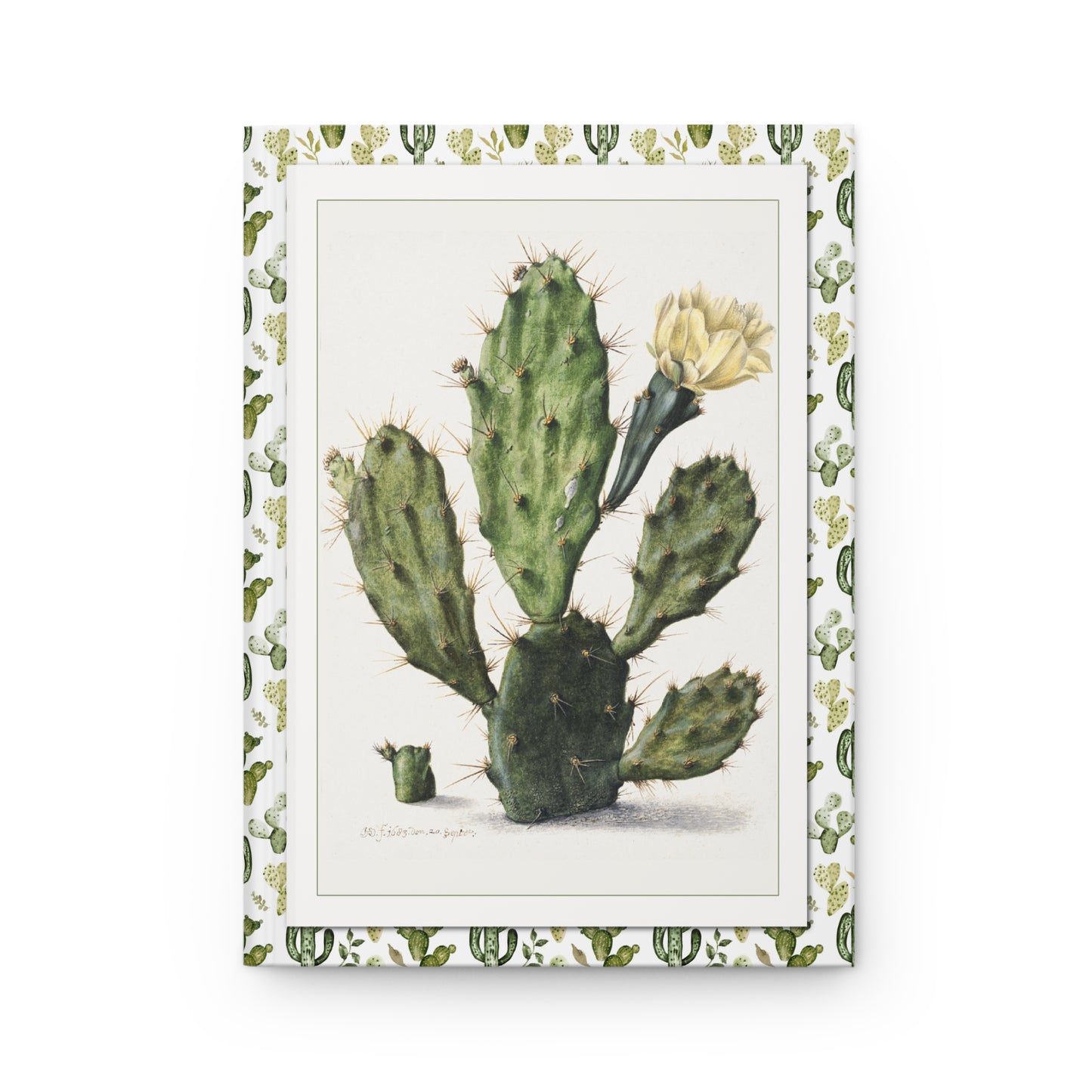 Front cover of hardcover journal featuring Herman Saftleven Pear Cactus in Bloom 1683 flowering prickly pear Dutch Golden Age drawing - LeBonJournal