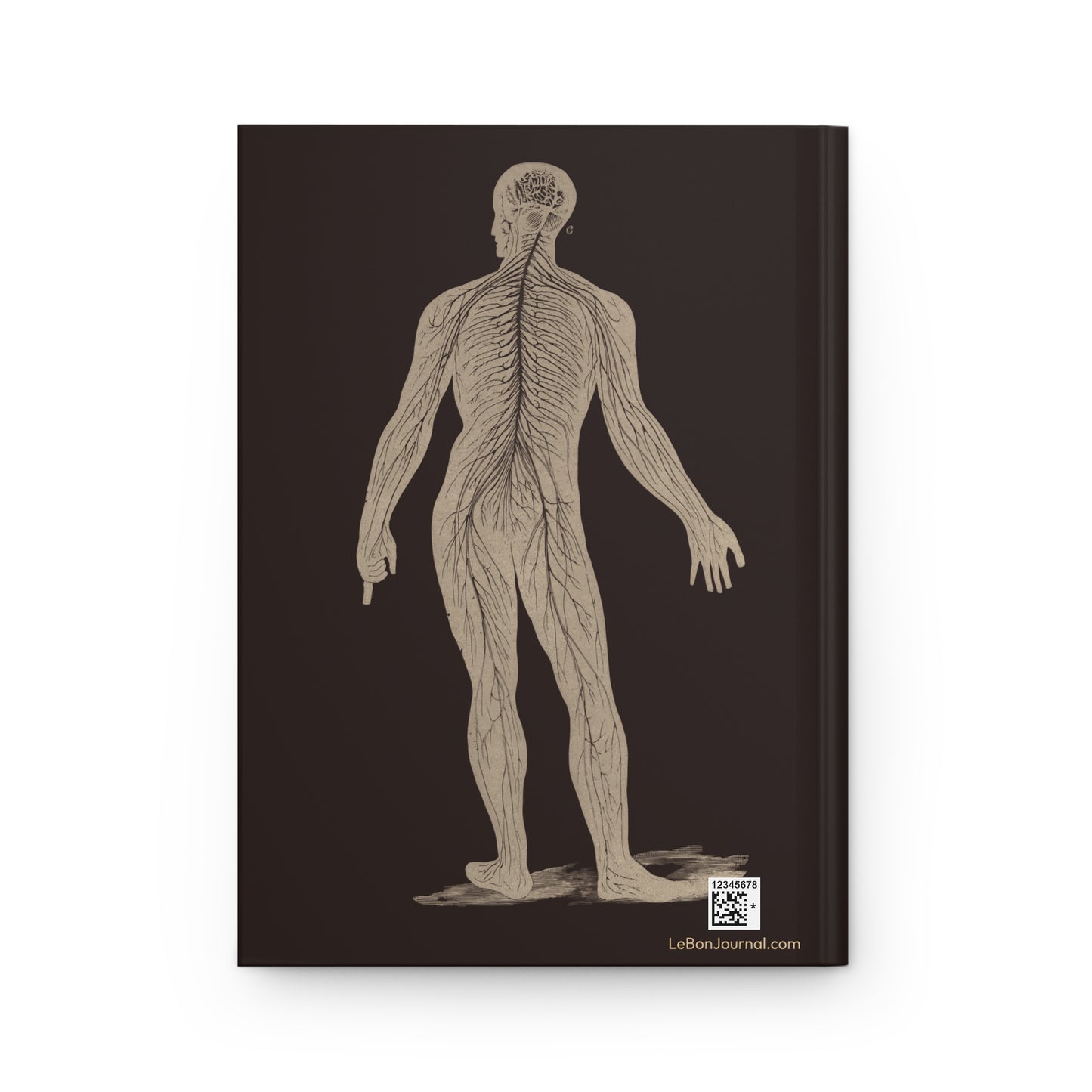 Brain anatomy journal back cover with 1908 Human Body and Health textbook illustration - LeBonJournal