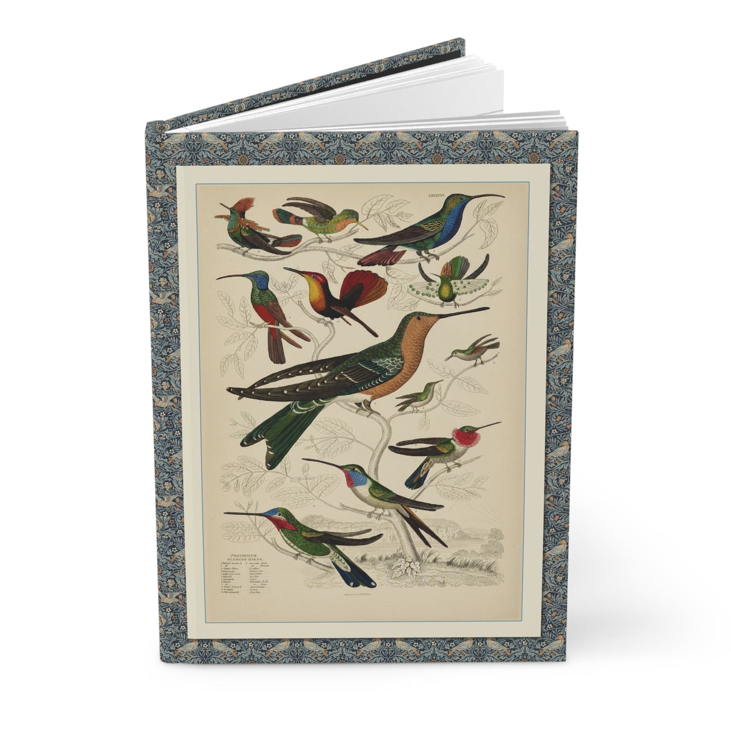 Hummingbird Hardcover Journal — Matte Floral Notebook - LeBonJournal