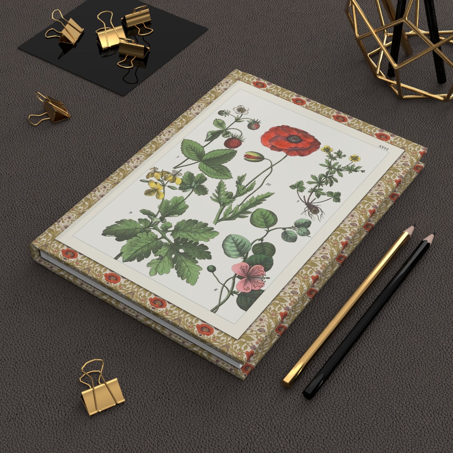Jacob Sturm 1887 botanical journal on desk with gold clips for wildflower journaling - LeBonJournal