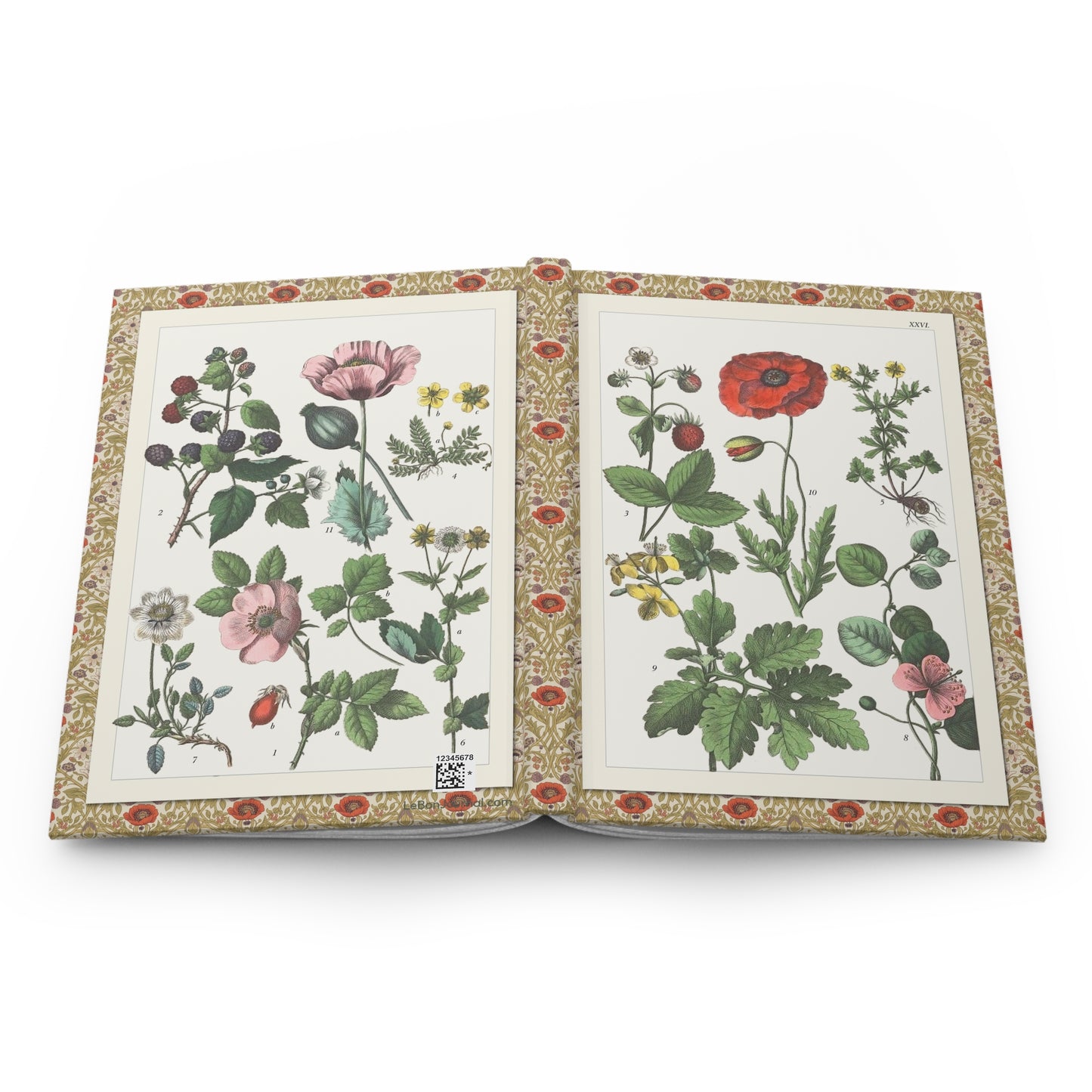 Jacob Sturm botanical journal open showing casewrap binding and 1887 wildflower illustrations - LeBonJournal