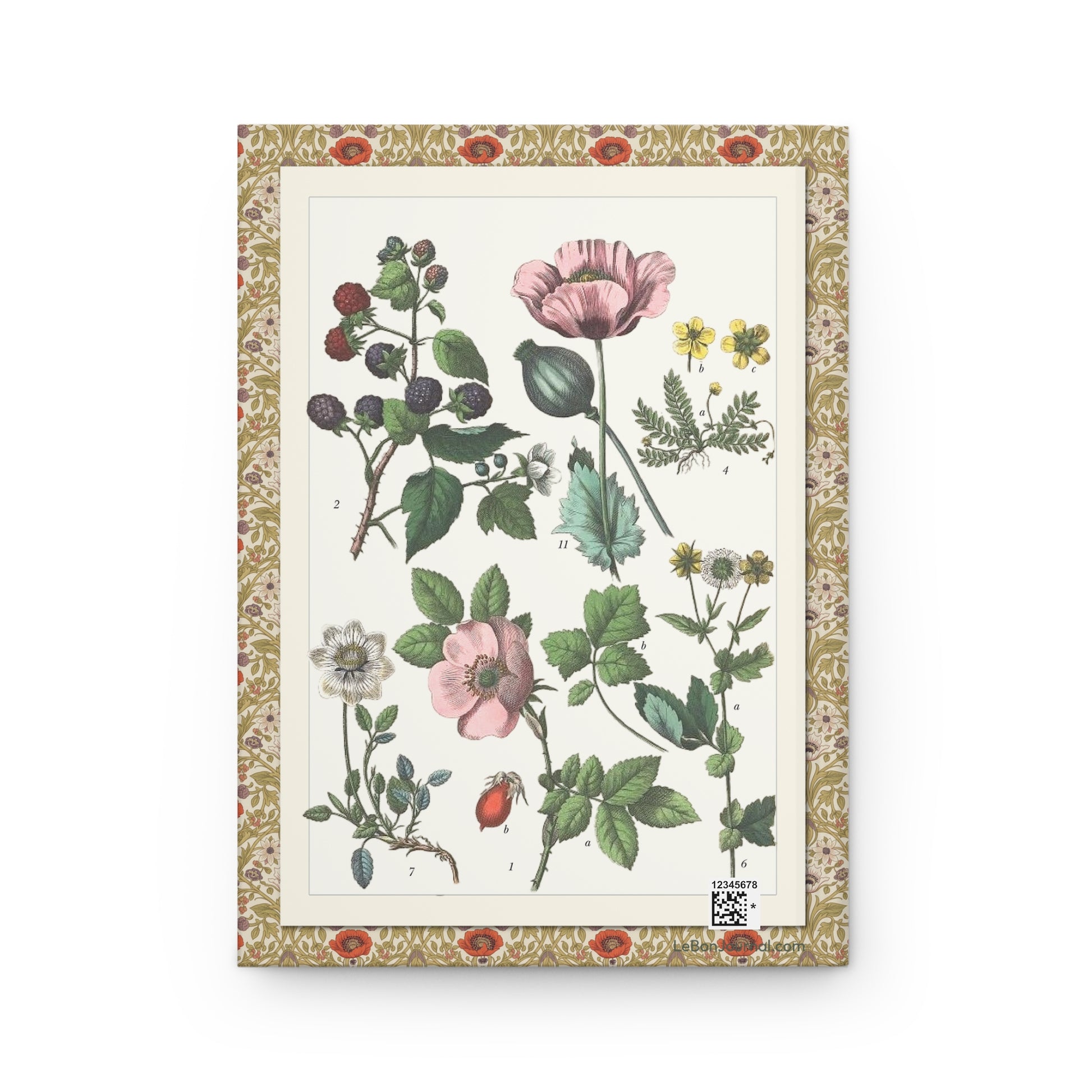 Jacob Sturm journal back cover with 1887 Plate XXVI roses blackberry and wildflowers - LeBonJournal