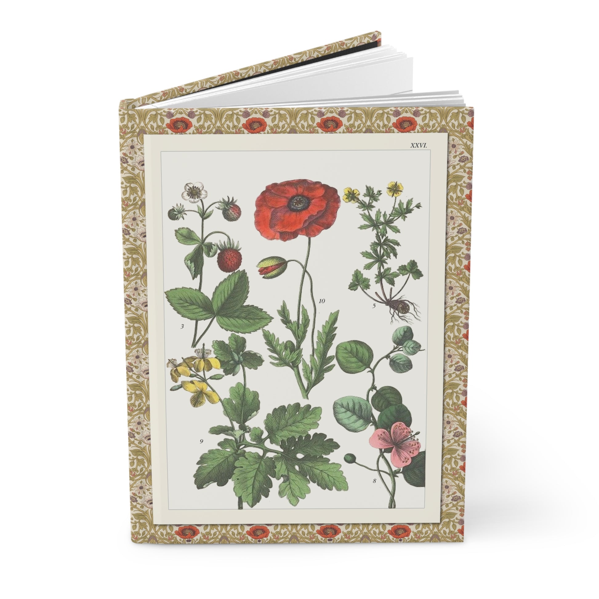 Jacob Sturm 1887 botanical journal with Plate XXVI poppies roses and wildflowers illustration - LeBonJournal