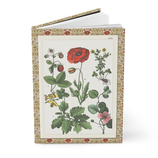 Jacob Sturm 1887 botanical journal with Plate XXVI poppies roses and wildflowers illustration - LeBonJournal