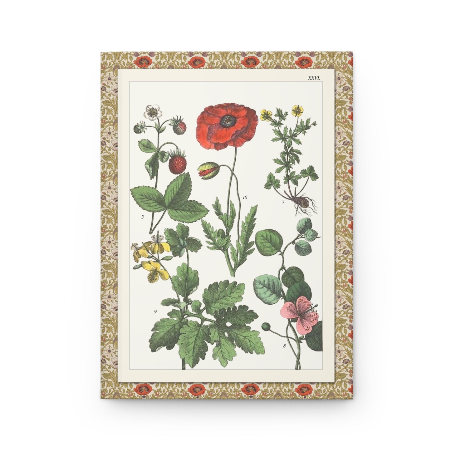 Jacob Sturm journal front cover with 1887 Plate XXVI poppies strawberry and wildflowers - LeBonJournal