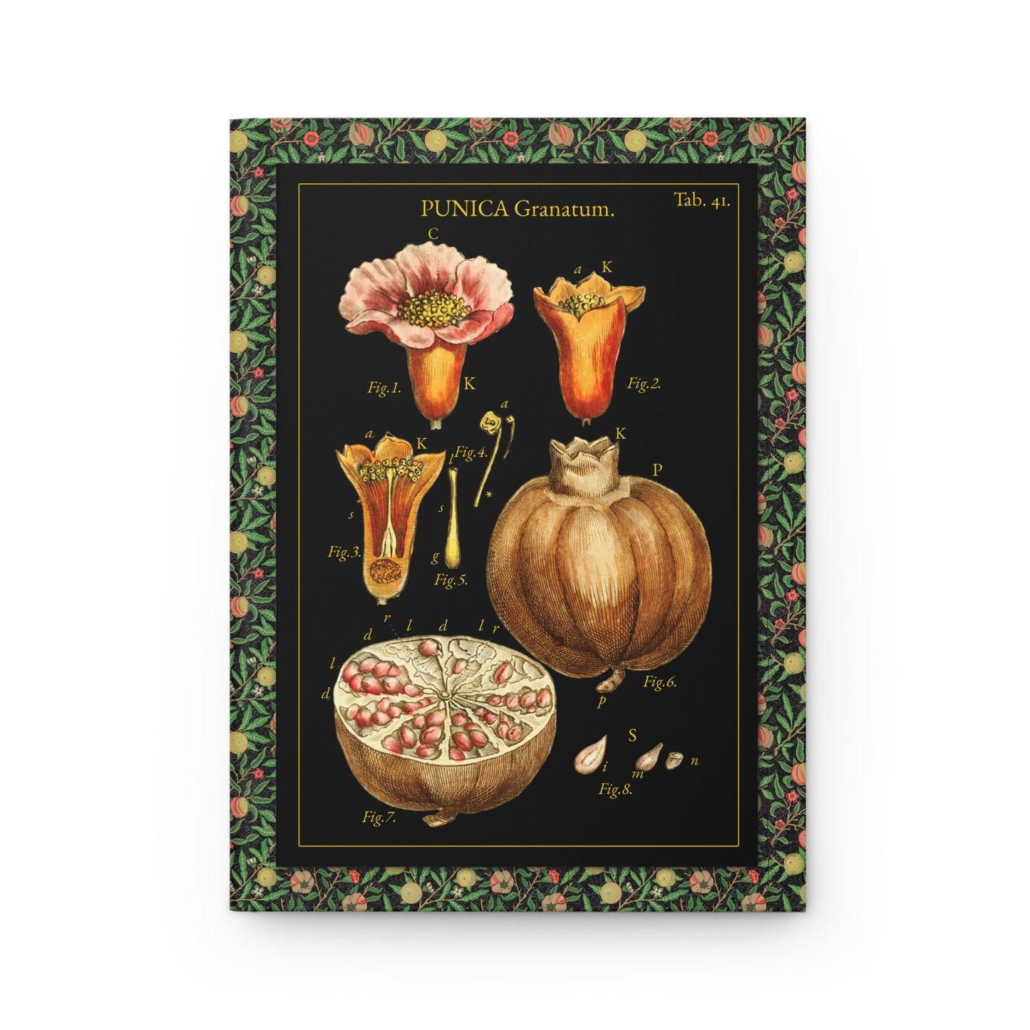 Front cover close-up John Miller 1779 pomegranate botanical engraving flower fruit cross-section arils seeds Punica granatum black background
 - LeBonJournal