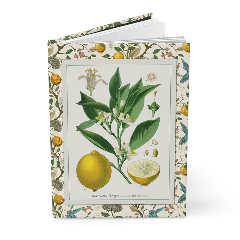 Köhler and d'Orbigny lemon journal with citrus botanical illustrations from 1887 and 1841 - LeBonJournal