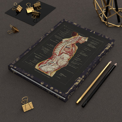 Larousse anatomy journal on desk with gold clips for medical student notes - LeBonJournal 