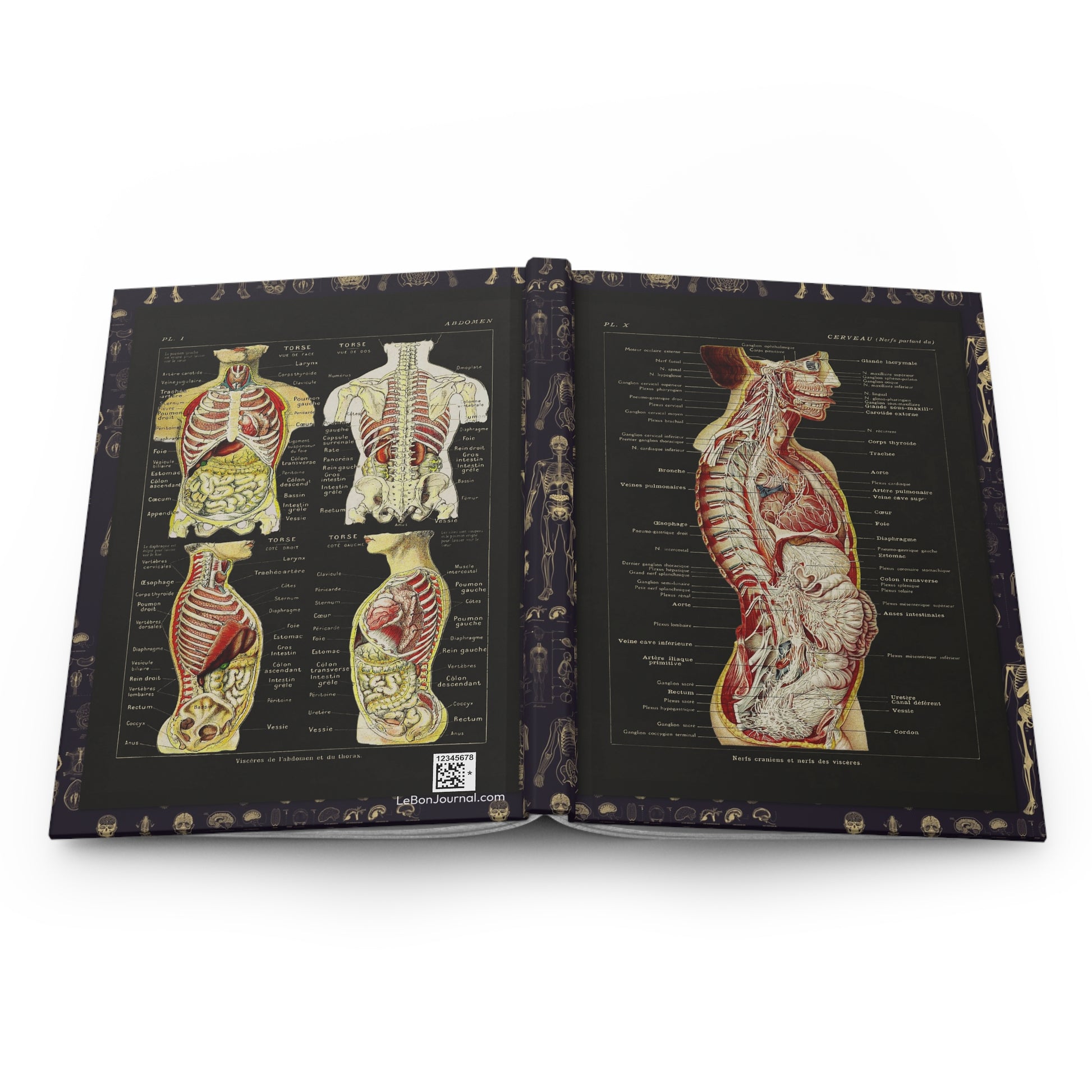 Larousse Médical anatomy journal open showing casewrap binding and 1912 French illustrations - LeBonJournal