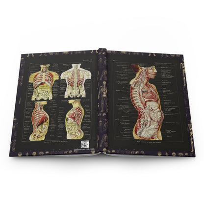 Larousse Médical anatomy journal open showing casewrap binding and 1912 French illustrations - LeBonJournal