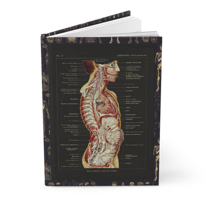 Larousse Médical 1912 anatomy journal with French brain and viscera illustrations on black - LeBonJournal