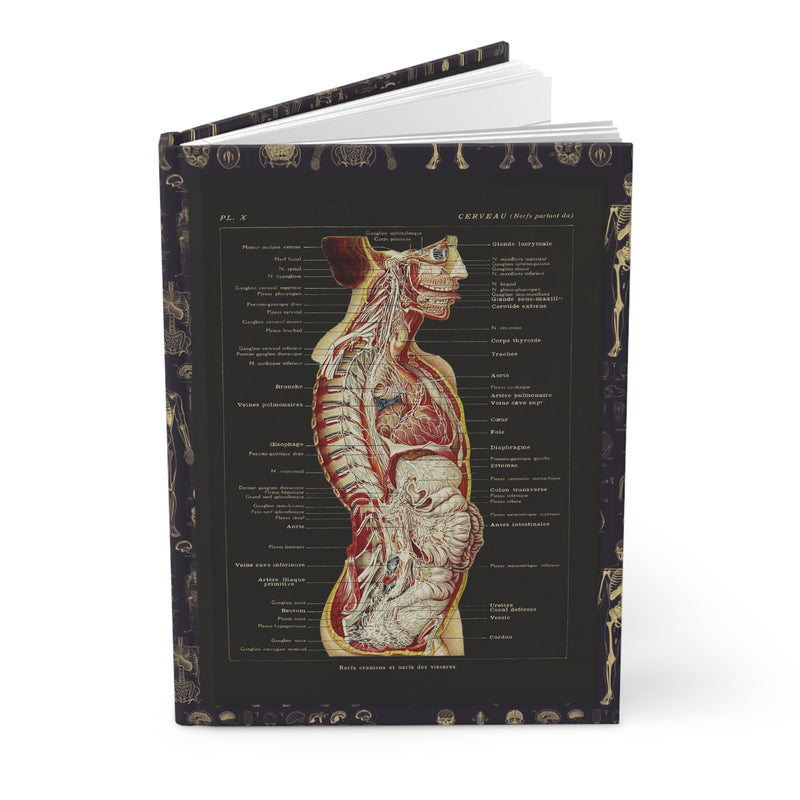 Larousse Médical 1912 anatomy journal with French brain and viscera illustrations on black - LeBonJournal