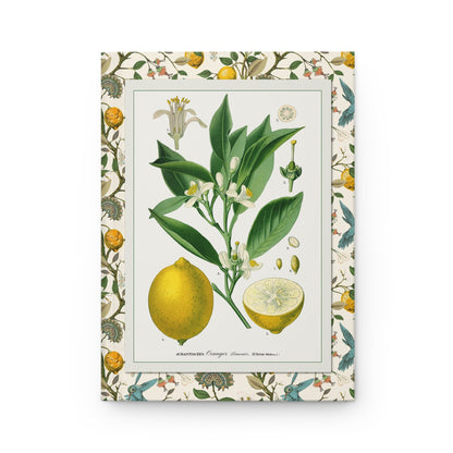 Lemon journal front cover with Köhler Citrus medica citron illustration from 1887 - LeBonJournal