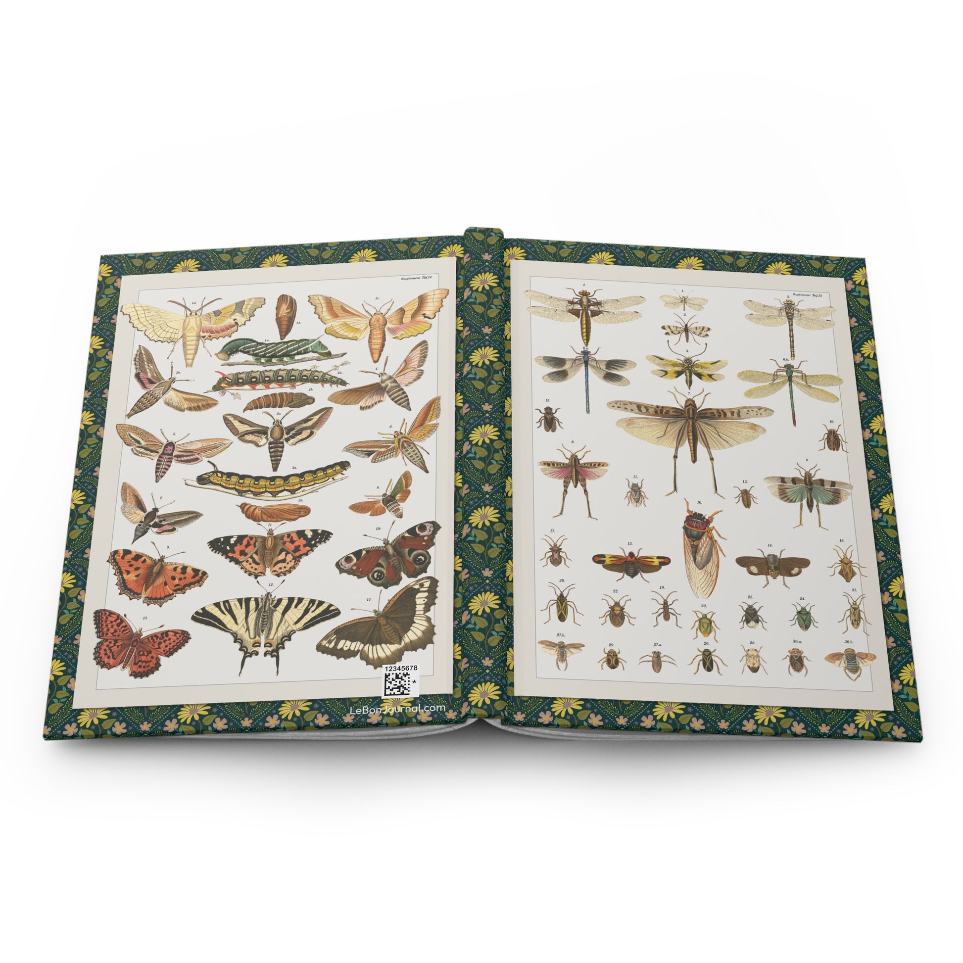 Hardcover journal opened flat showing spine binding and both covers with Lorenz Oken hand-colored insect and butterfly lithographs Plates 14 and 15 - LeBonJournal