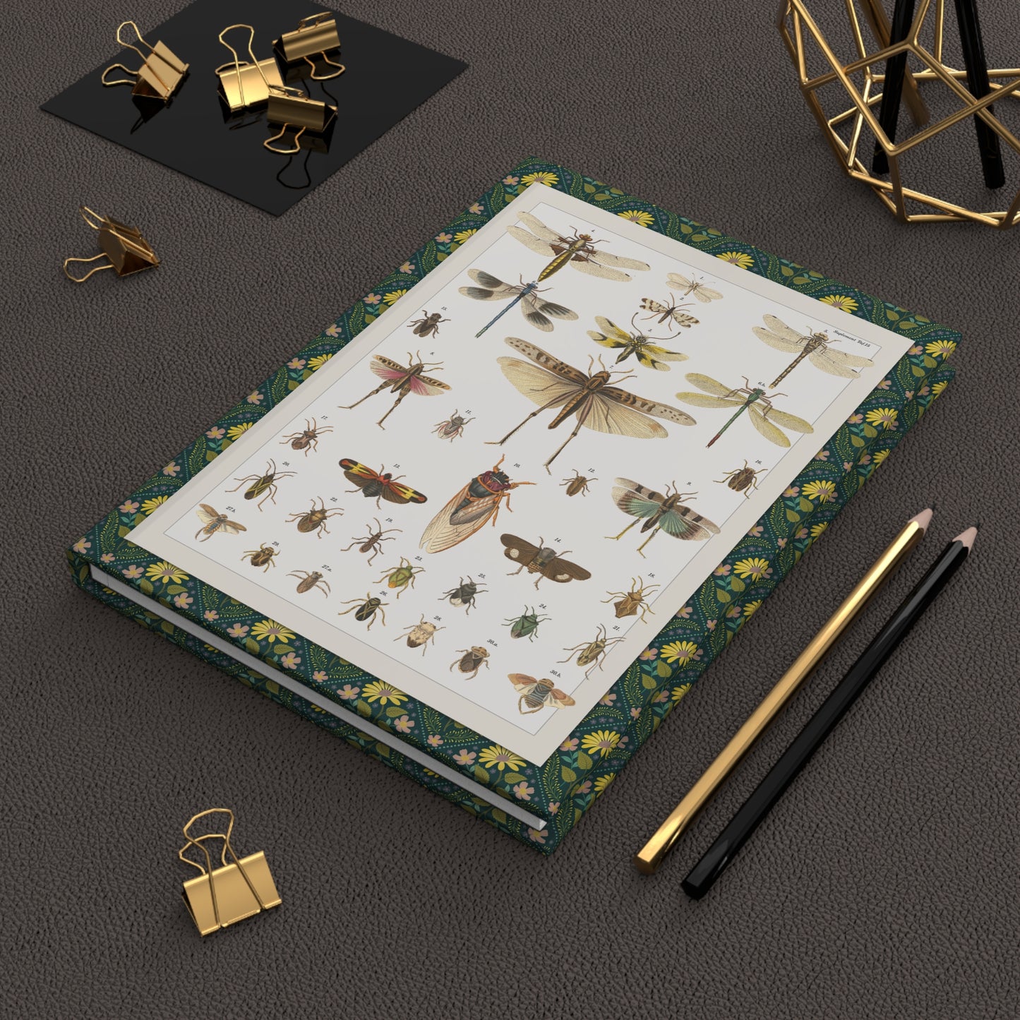 Lifestyle photo of Lorenz Oken insects journal styled for entomologists lepidopterists and natural history enthusiasts - LeBonJournal