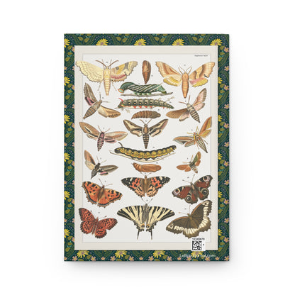 Back cover of hardcover journal featuring Lorenz Oken Plate 14 Supplement Taf 14 with butterflies moths caterpillars pupae Marumba quercus Sphingidae C. Schach lithograph - LeBonJournal