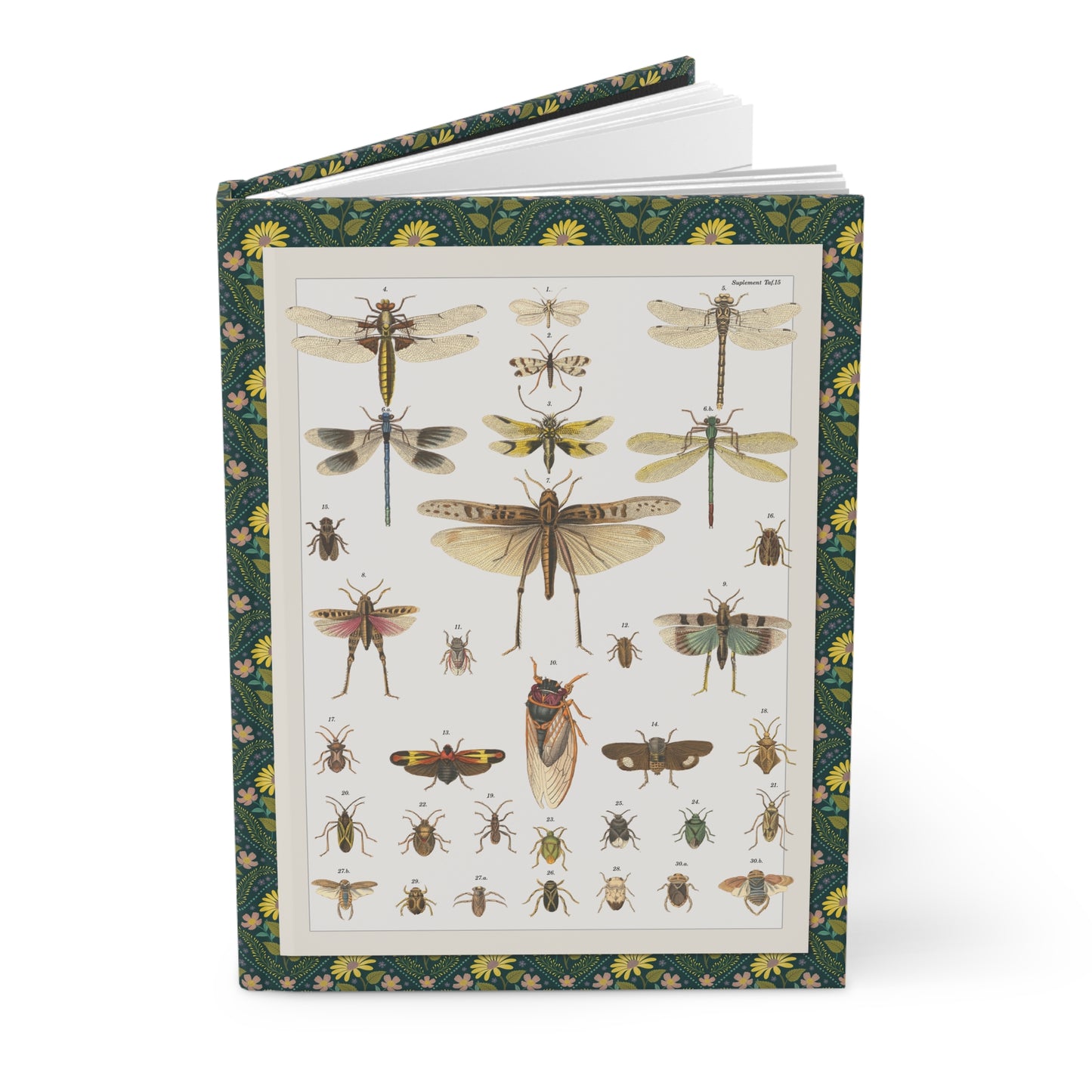 Hardcover journal standing upright showing Lorenz Oken Plate 15 hand-colored lithograph dragonflies grasshoppers beetles from Allgemeine Naturgeschichte on front cover - LeBonJournal