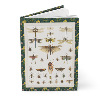Hardcover journal standing upright showing Lorenz Oken Plate 15 hand-colored lithograph dragonflies grasshoppers beetles from Allgemeine Naturgeschichte on front cover - LeBonJournal
