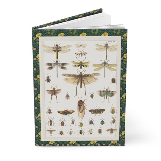 Hardcover journal standing upright showing Lorenz Oken Plate 15 hand-colored lithograph dragonflies grasshoppers beetles from Allgemeine Naturgeschichte on front cover - LeBonJournal