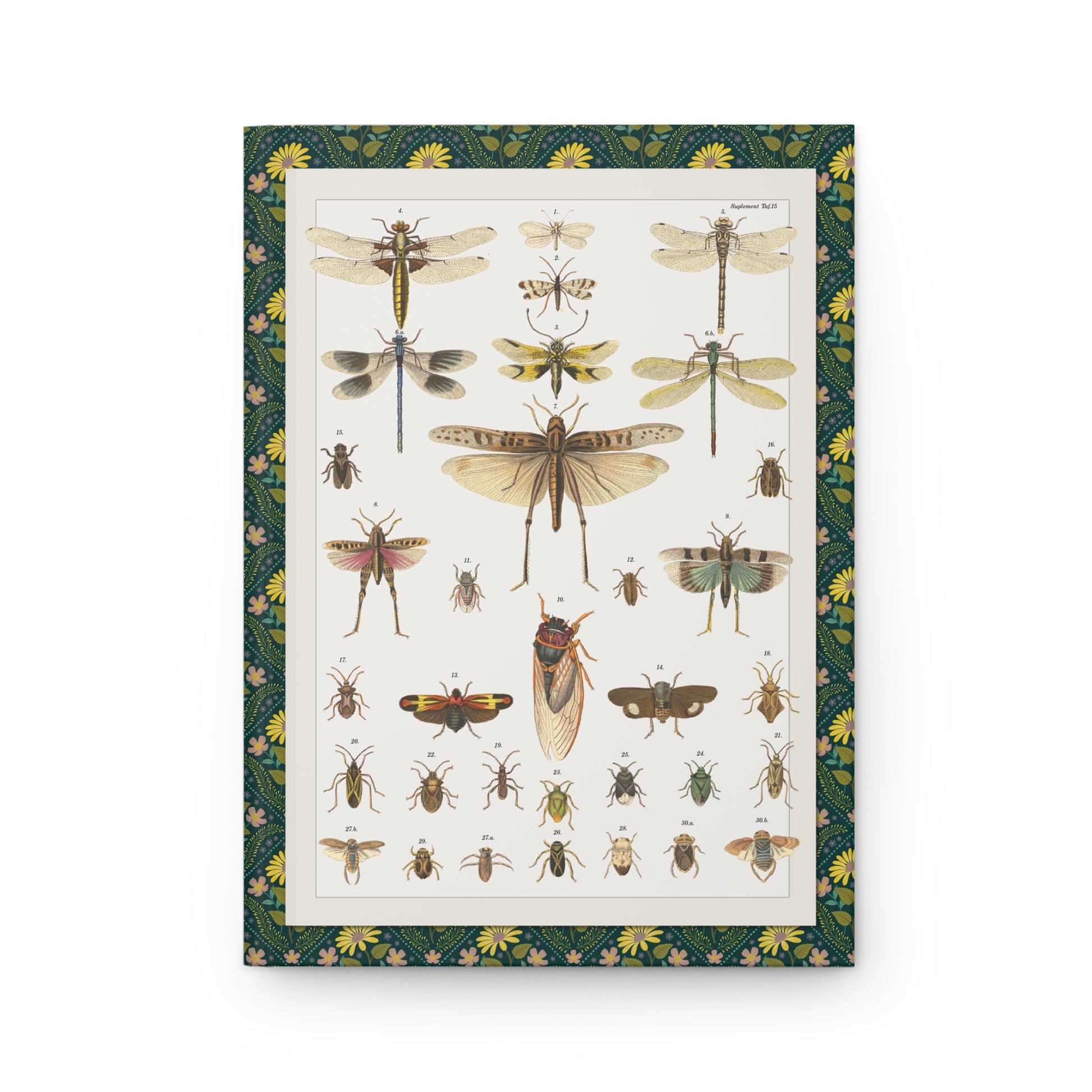 Front cover of hardcover journal featuring Lorenz Oken Plate 15 Supplement Taf 15 with Locusta migratoria Libellula depressa cicada beetles C. Schach lithograph - LeBonJournal