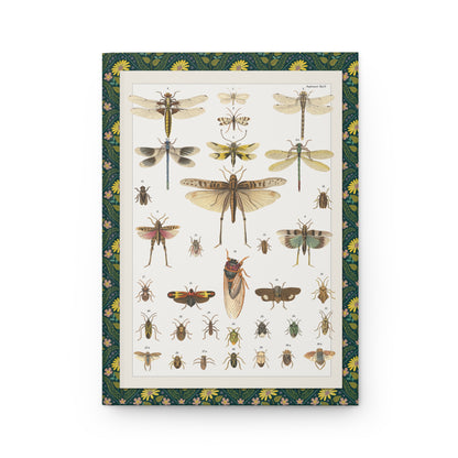 Front cover of hardcover journal featuring Lorenz Oken Plate 15 Supplement Taf 15 with Locusta migratoria Libellula depressa cicada beetles C. Schach lithograph - LeBonJournal