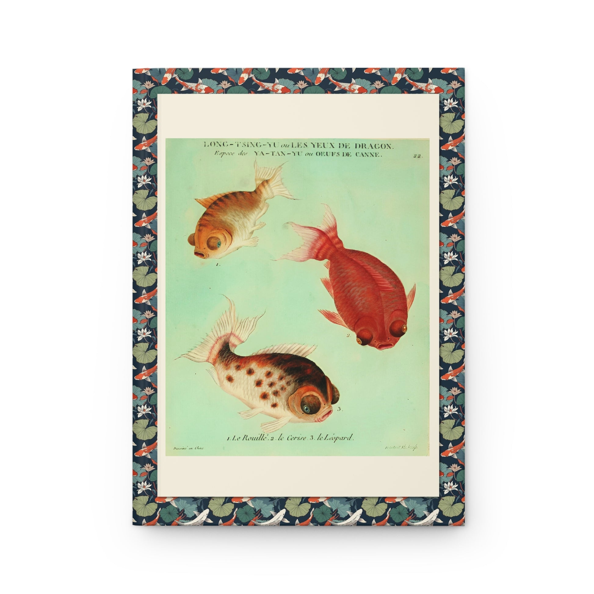 Front cover close-up François-Nicolas Martinet 1780 hand-colored engraving Dragon Eyes goldfish Long-Tsing-Yu three varieties Rusty Cherry Leopard from Histoire Naturelle des Dorades de la Chine Billardon de Sauvigny - LeBonJournal