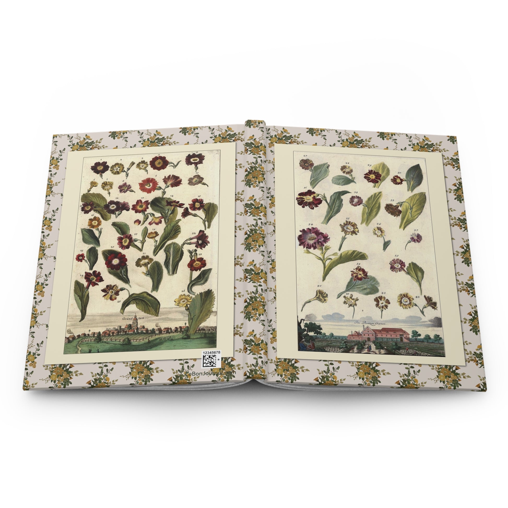 Johann Christoph Volkamer medicinal flowers journal open showing casewrap binding - LeBonJournal