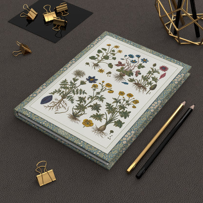 Morandi Historia Botanica Practica journal on leather desk with gold pencils and clips - LeBonJournal