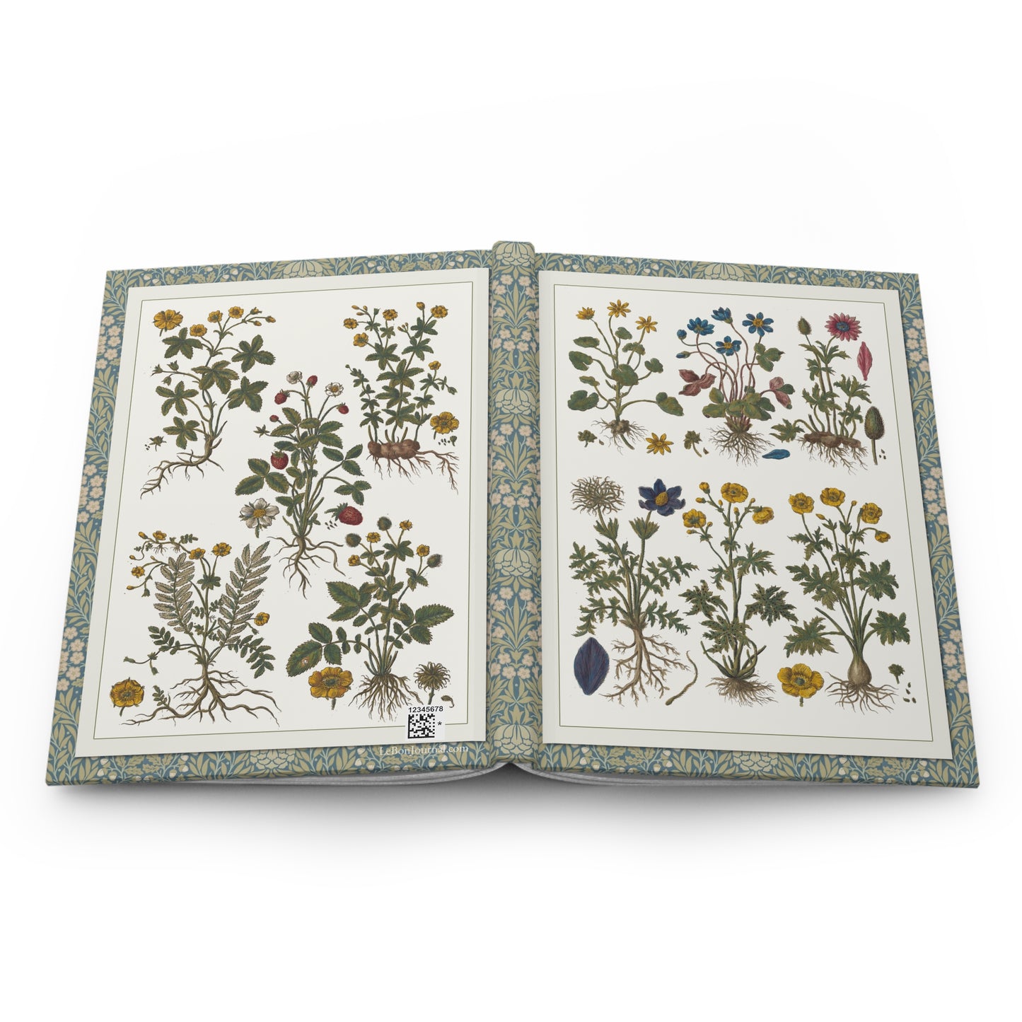 Morandi botanical journal open showing casewrap binding and 1744 floral artwork - LeBonJournal
