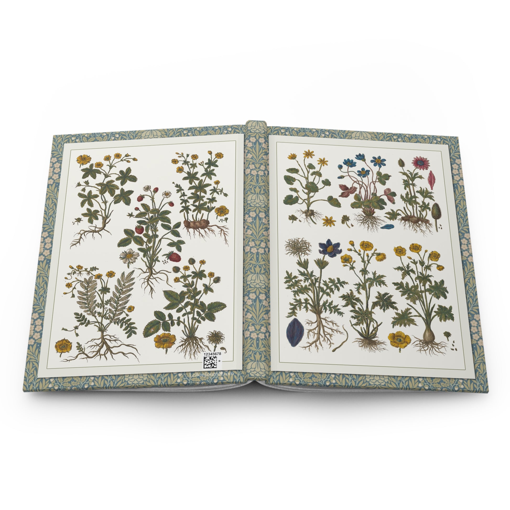 Morandi botanical journal open showing casewrap binding and 1744 floral artwork - LeBonJournal
