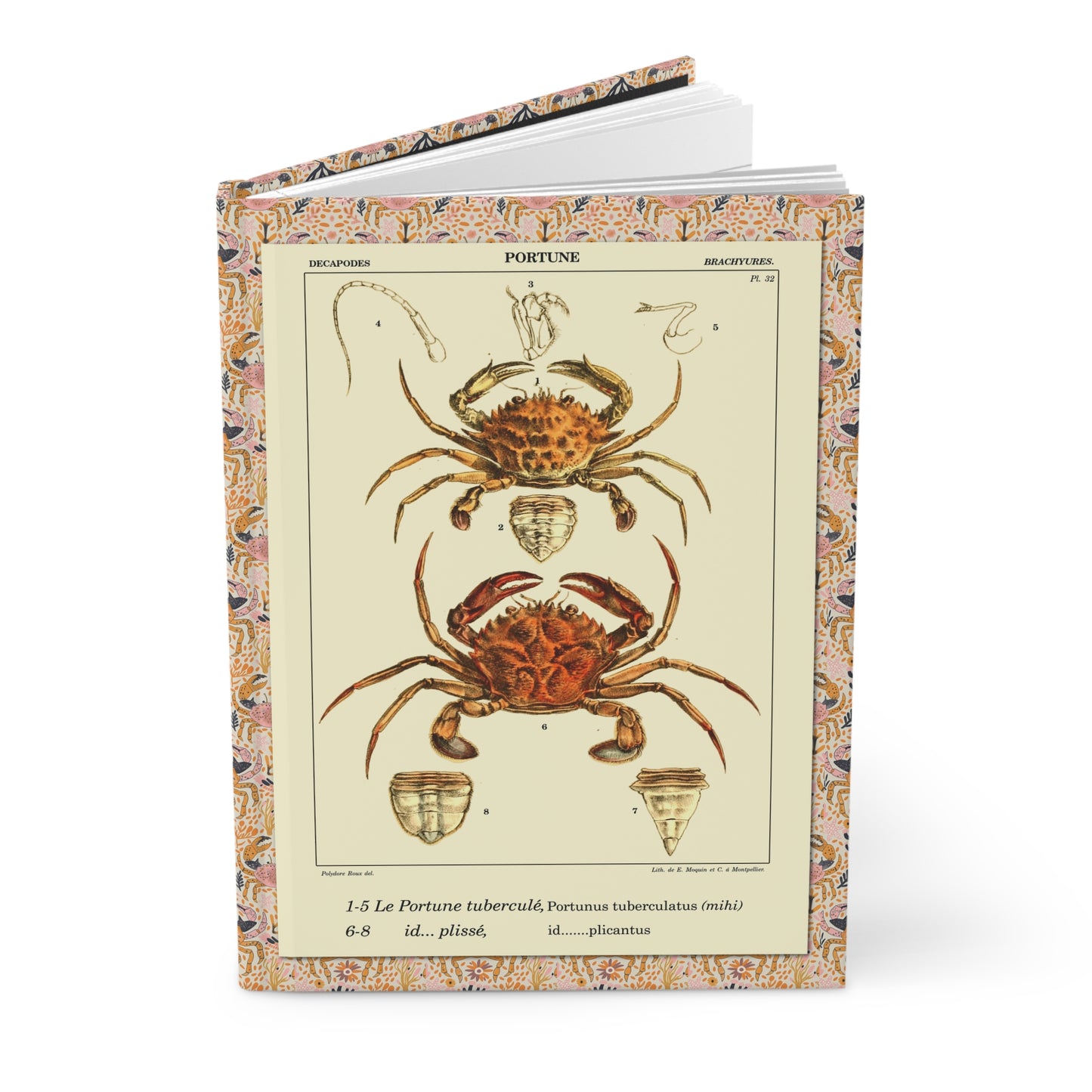 Polydore Roux 1828 crustacean journal with Mediterranean crab and lobster illustrations - LeBonJournal