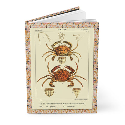 Polydore Roux 1828 crustacean journal with Mediterranean crab and lobster illustrations - LeBonJournal