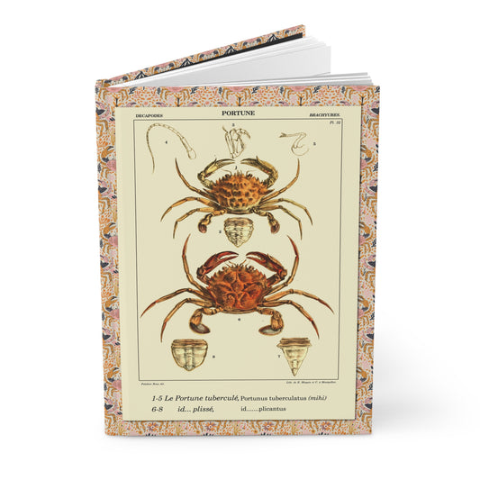 Polydore Roux 1828 crustacean journal with Mediterranean crab and lobster illustrations - LeBonJournal